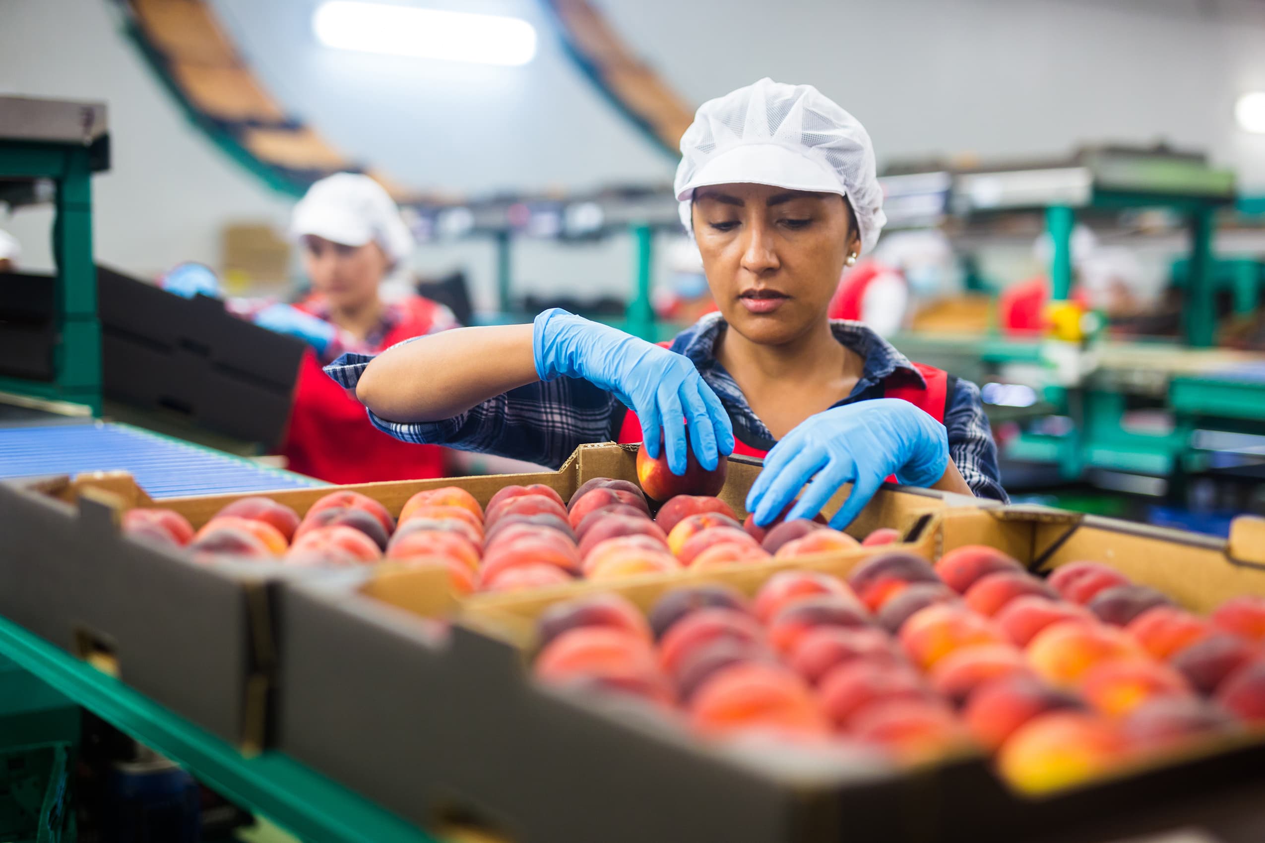 Food Manufacturing